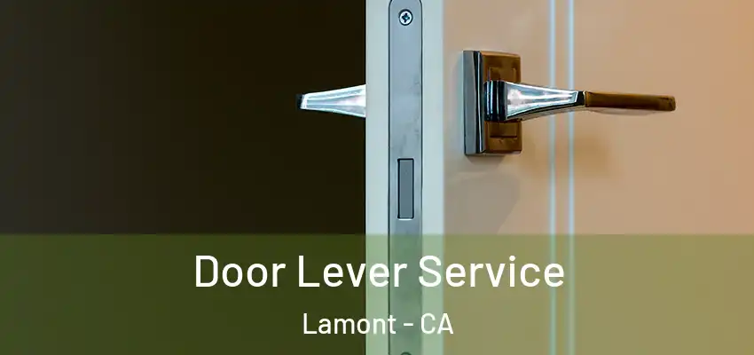  Door Lever Service Lamont - CA