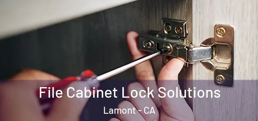  File Cabinet Lock Solutions Lamont - CA