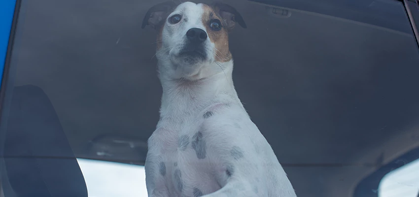 Car Lockout Solutions in Lamont, California